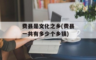 费县是文化之乡(费县一共有多少个乡镇)