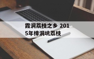 霞洞荔枝之乡 2015年樟洞坑荔枝