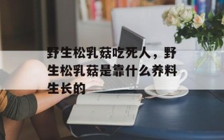 野生松乳菇吃死人，野生松乳菇是靠什么养料生长的