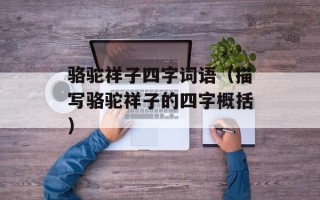 骆驼祥子四字词语（描写骆驼祥子的四字概括）
