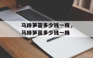 马蹄笋苗多少钱一株，马蹄笋苗多少钱一株