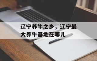 辽宁养牛之乡，辽宁最大养牛基地在哪儿