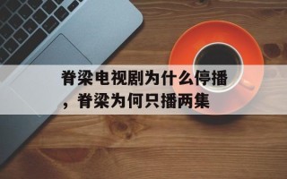 脊梁电视剧为什么停播，脊梁为何只播两集