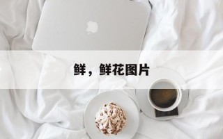 鲜，鲜花图片