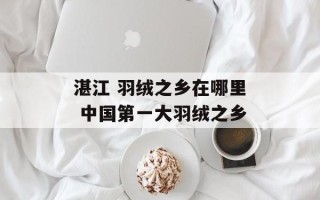 湛江 羽绒之乡在哪里 中国第一大羽绒之乡