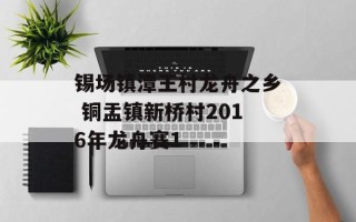 锡场镇潭王村龙舟之乡 铜盂镇新桥村2016年龙舟赛1
