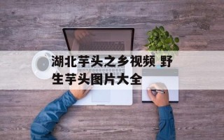 湖北芋头之乡视频 野生芋头图片大全