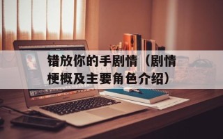 错放你的手剧情（剧情梗概及主要角色介绍）