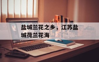 盐城兰花之乡，江苏盐城荷兰花海