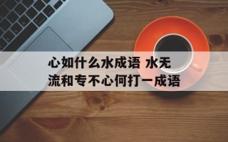 心如什么水成语 水无流和专不心何打一成语