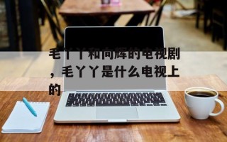 毛丫丫和向辉的电视剧，毛丫丫是什么电视上的