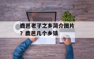 鹿邑老子之乡简介图片？鹿邑几个乡镇