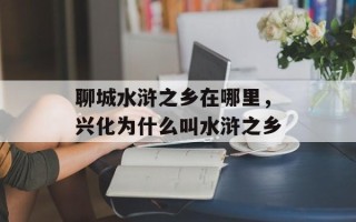 聊城水浒之乡在哪里，兴化为什么叫水浒之乡