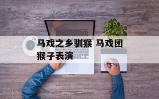 马戏之乡驯猴 马戏团猴子表演
