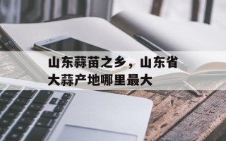 山东蒜苗之乡，山东省大蒜产地哪里最大
