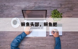 鳜鱼头部，鳜鱼肥