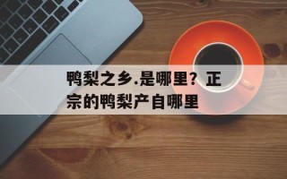 鸭梨之乡.是哪里？正宗的鸭梨产自哪里