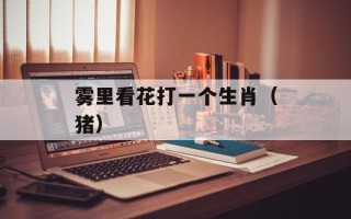 雾里看花打一个生肖（猪）