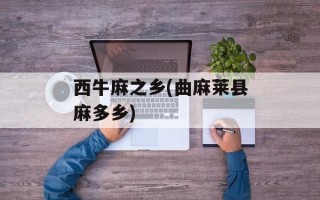 西牛麻之乡(曲麻莱县麻多乡)