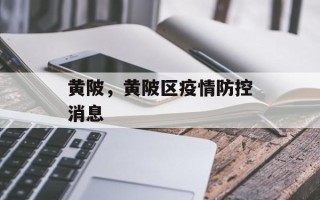 黄陂，黄陂区疫情防控消息