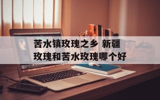 苦水镇玫瑰之乡 新疆玫瑰和苦水玫瑰哪个好