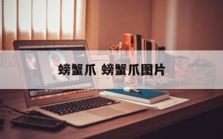 螃蟹爪 螃蟹爪图片