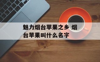 魅力烟台苹果之乡 烟台苹果叫什么名字