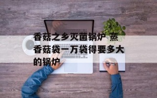 香菇之乡灭菌锅炉 蒸香菇袋一万袋得要多大的锅炉