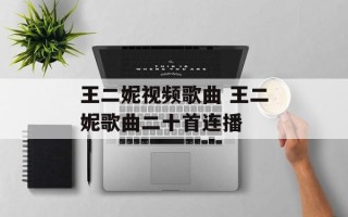 王二妮视频歌曲 王二妮歌曲二十首连播
