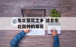 东北菊花之乡 适合东北栽种的菊花