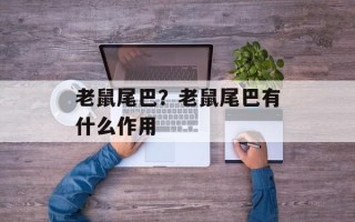 老鼠尾巴？老鼠尾巴有什么作用