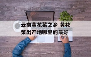 云南黄花菜之乡 黄花菜出产地哪里的最好