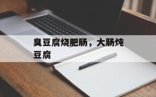 臭豆腐烧肥肠，大肠炖豆腐