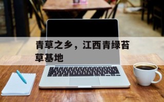 青草之乡，江西青绿苔草基地