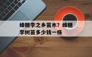 蜂糖李之乡苗木？蜂糖李树苗多少钱一株