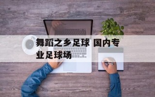 舞蹈之乡足球 国内专业足球场