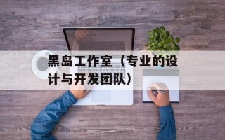 黑岛工作室（专业的设计与开发团队）