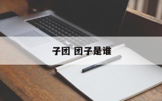子团 团子是谁