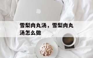 雪梨肉丸汤，雪梨肉丸汤怎么做