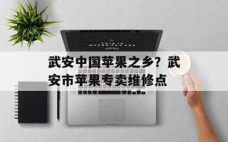 武安中国苹果之乡？武安市苹果专卖维修点