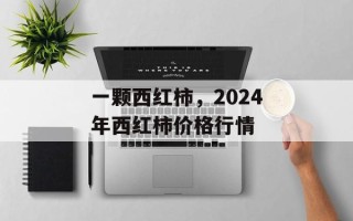 一颗西红柿，2024年西红柿价格行情