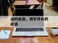 泊的成语，洒字开头的成语