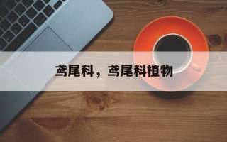 鸢尾科，鸢尾科植物