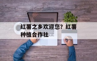 红薯之乡欢迎您？红薯种植合作社