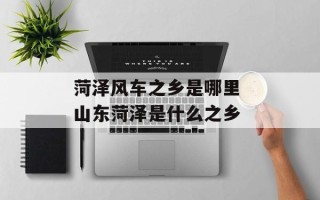 菏泽风车之乡是哪里 山东菏泽是什么之乡