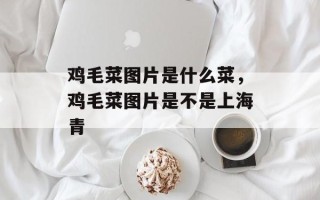 鸡毛菜图片是什么菜，鸡毛菜图片是不是上海青
