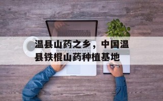 温县山药之乡，中国温县铁棍山药种植基地