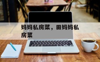 妈妈私房菜，田妈妈私房菜