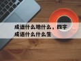 成语什么地什么，四字成语什么什么生