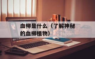 血柳是什么（了解神秘的血柳植物）